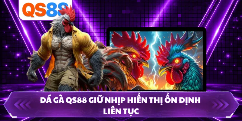 Đá gà QS88 giữ nhịp hiển thị ổn định liên tục