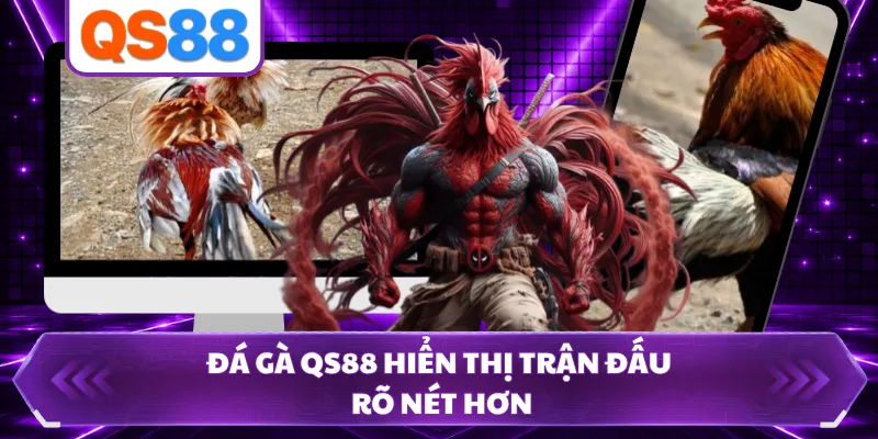 Đá gà QS88 hiển thị trận đấu rõ nét hơn